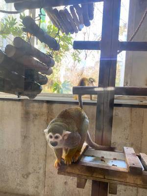 【未就学児無料】500種類の生き物を観察できる『足立区生物園』徹底レポ！ | HugMug