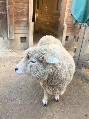 【未就学児無料】500種類の生き物を観察できる『足立区生物園』徹底レポ！ | HugMug