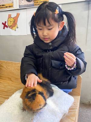 【未就学児無料】500種類の生き物を観察できる『足立区生物園』徹底レポ！ | HugMug