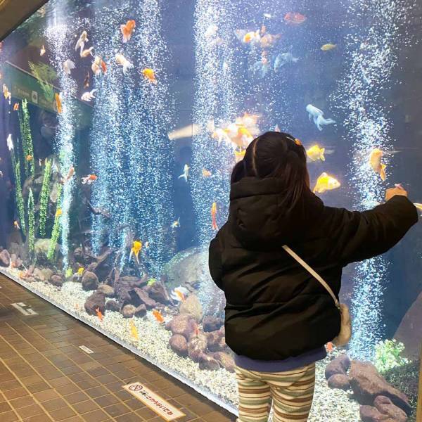 【未就学児無料】500種類の生き物を観察できる『足立区生物園』徹底レポ！ | HugMug