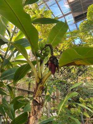 【未就学児無料】500種類の生き物を観察できる『足立区生物園』徹底レポ！ | HugMug