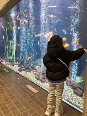 【未就学児無料】500種類の生き物を観察できる『足立区生物園』徹底レポ！ | HugMug