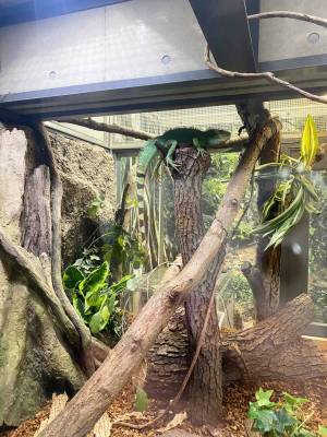 【未就学児無料】500種類の生き物を観察できる『足立区生物園』徹底レポ！ | HugMug