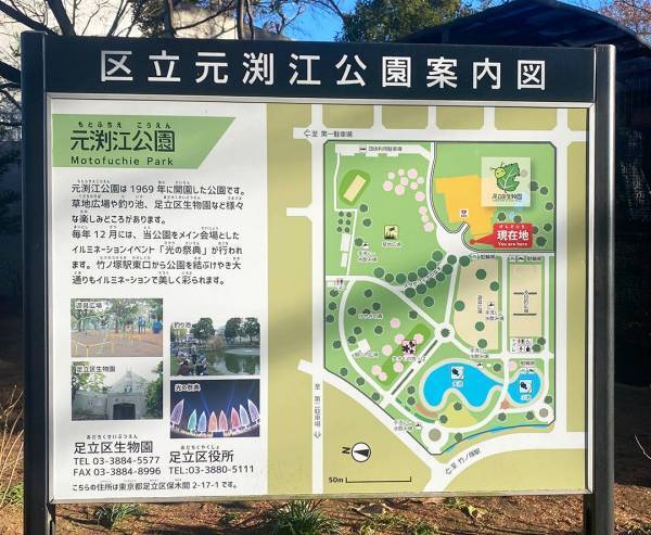 【未就学児無料】500種類の生き物を観察できる『足立区生物園』徹底レポ！ | HugMug