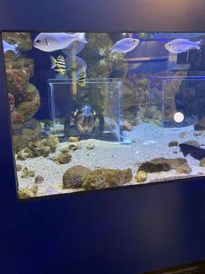 【未就学児無料】500種類の生き物を観察できる『足立区生物園』徹底レポ！ | HugMug