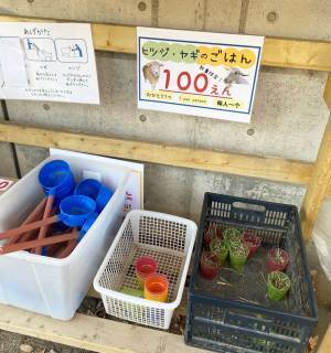 【未就学児無料】500種類の生き物を観察できる『足立区生物園』徹底レポ！ | HugMug