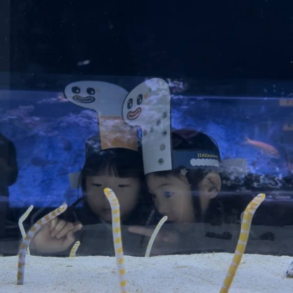 【すみだ水族館】全天候型で快適！ 都内の室内おすすめ子連れスポット | HugMug