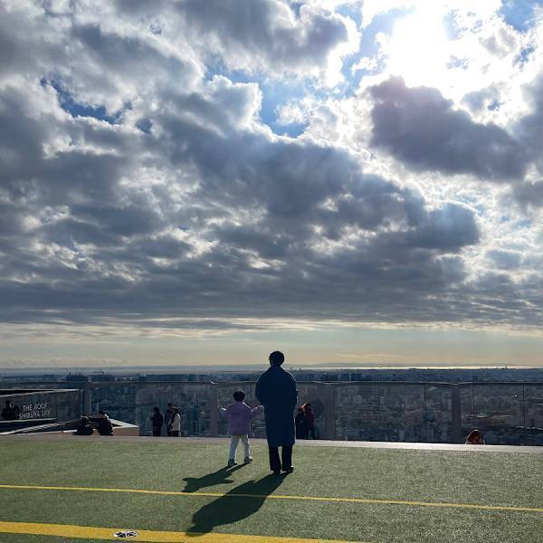 予約購入がお得！渋谷を360度一望できる【SHIBUYA SKY】 | HugMug