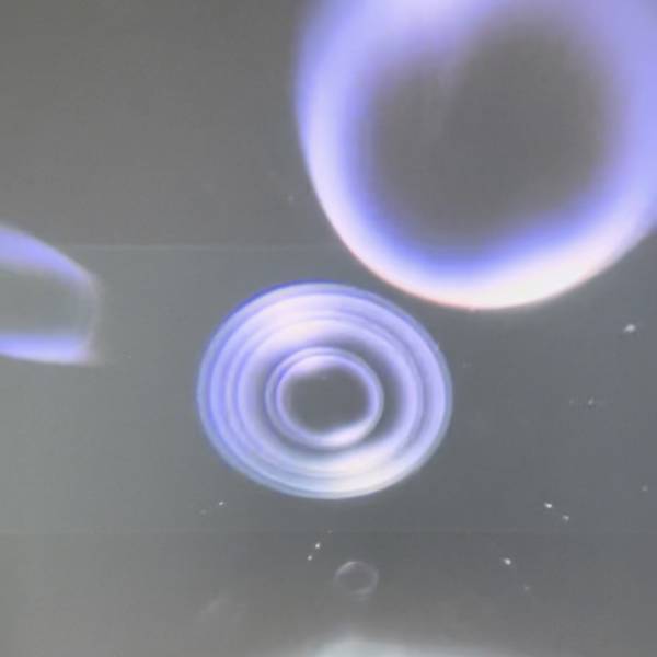 予約購入がお得！渋谷を360度一望できる【SHIBUYA SKY】 | HugMug