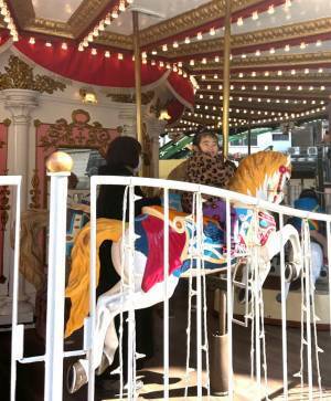 4歳まで入場無料！身長・年齢制限少なく子連れで楽しめる【浅草花やしき】 | HugMug