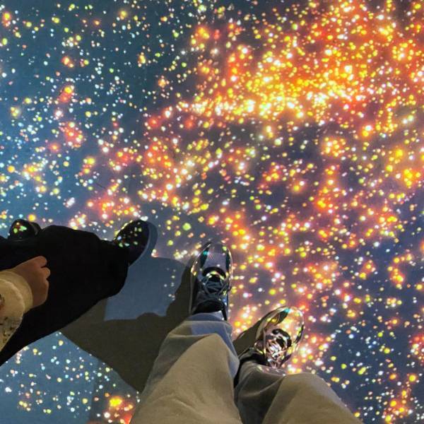 【入場無料】リニューアルした新宿御苑インフォメーションセンターが子連れに良いワケ | HugMug