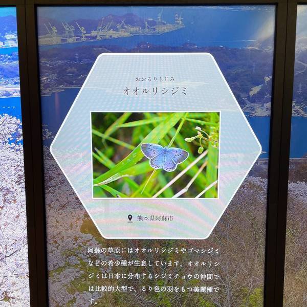 【入場無料】リニューアルした新宿御苑インフォメーションセンターが子連れに良いワケ | HugMug