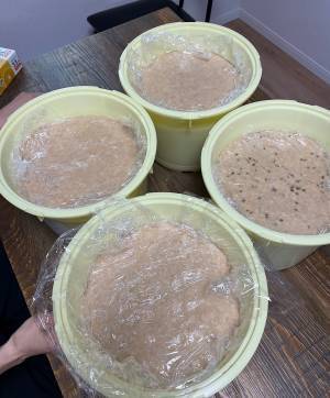 自宅で簡単に家庭の味「手作り味噌キット」 | HugMug