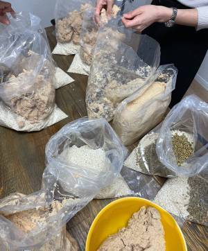 自宅で簡単に家庭の味「手作り味噌キット」 | HugMug