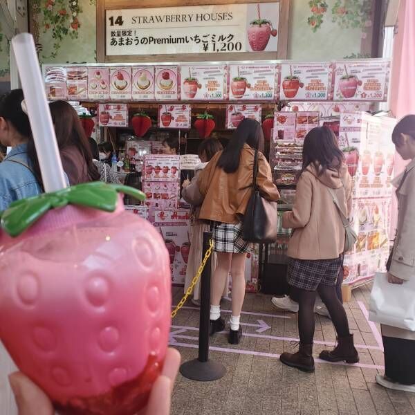いちご好き必見！家族で楽しめる【Yokohama Strawberry Festival２０２４】 | HugMug