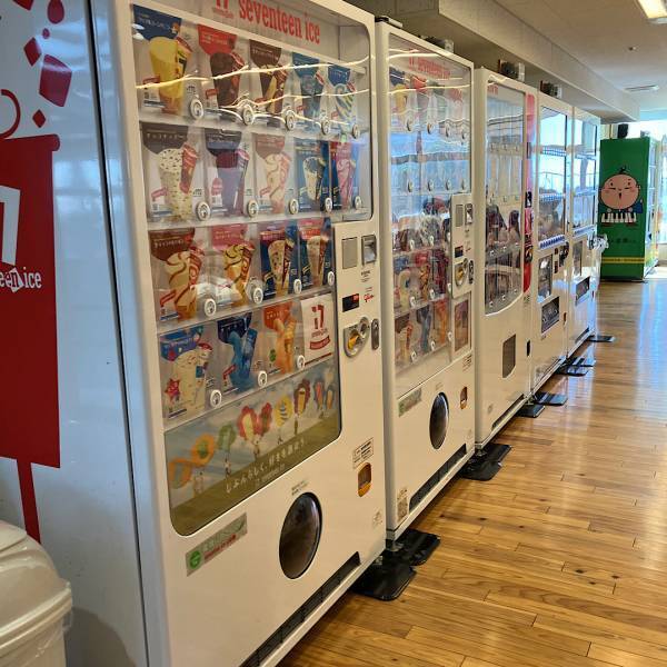 【未就学児無料&amp;制限時間なし】浜松の子供の遊び場おすすめスポット | HugMug