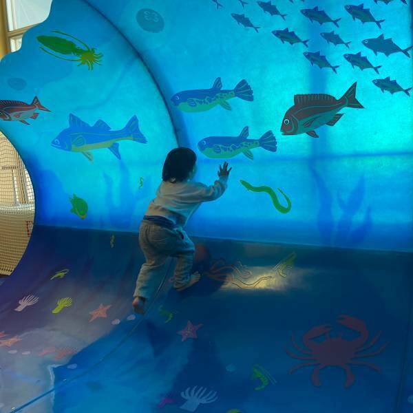 【未就学児無料&amp;制限時間なし】浜松の子供の遊び場おすすめスポット | HugMug