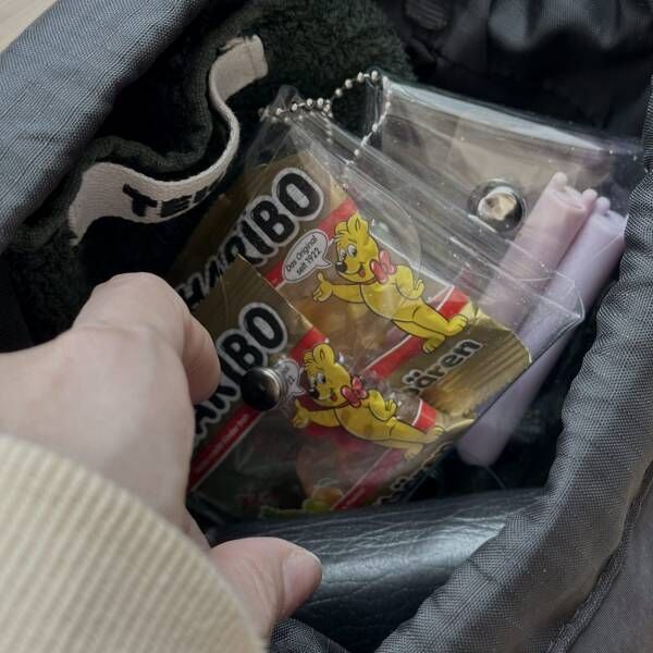 バッグの中身をスッキリ収納！DAISOのクリアポーチがおしゃれで便利！ | HugMug