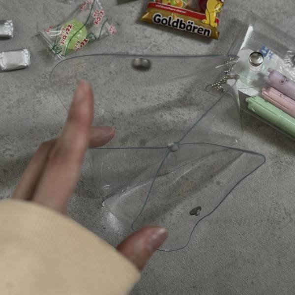 バッグの中身をスッキリ収納！DAISOのクリアポーチがおしゃれで便利！ | HugMug