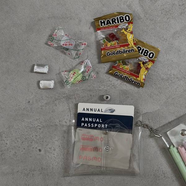 バッグの中身をスッキリ収納！DAISOのクリアポーチがおしゃれで便利！ | HugMug