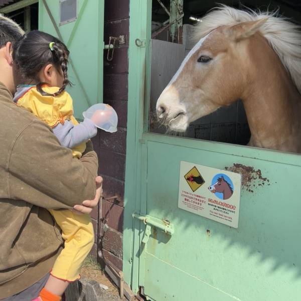 【3歳まで入場無料】意外と知らない！？マザー牧場はお花見もおすすめ！ | HugMug