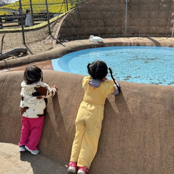 【3歳まで入場無料】意外と知らない！？マザー牧場はお花見もおすすめ！ | HugMug