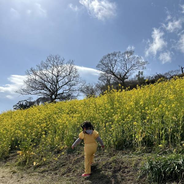 【3歳まで入場無料】意外と知らない！？マザー牧場はお花見もおすすめ！ | HugMug