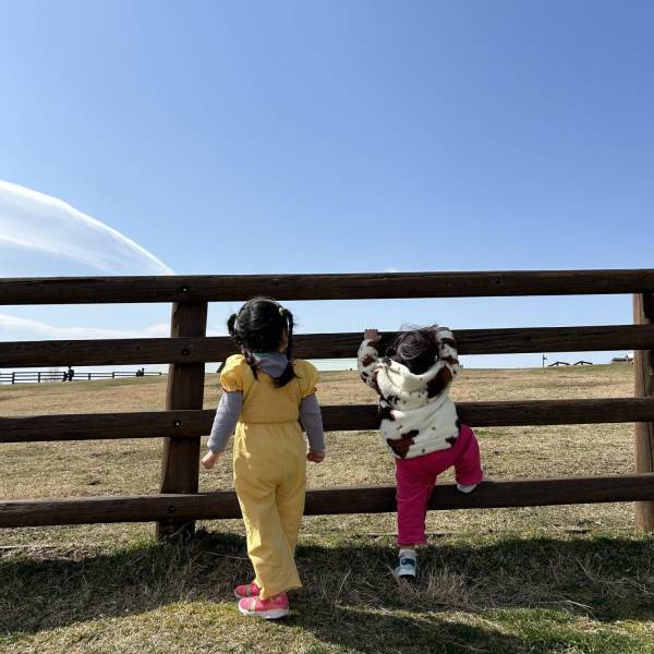 【3歳まで入場無料】意外と知らない！？マザー牧場はお花見もおすすめ！ | HugMug