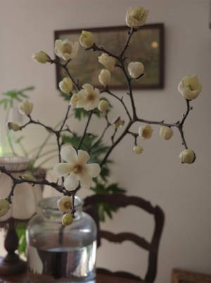 新連載「はじめましての自己紹介」平野みかほの『子どもと、私と、らしさと』Vol.1 | HugMug