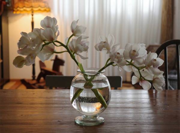 新連載「はじめましての自己紹介」平野みかほの『子どもと、私と、らしさと』Vol.1 | HugMug