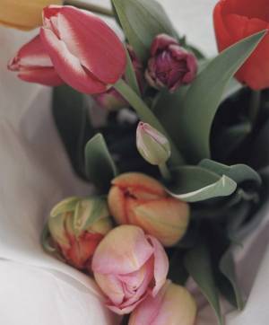 新連載「はじめましての自己紹介」平野みかほの『子どもと、私と、らしさと』Vol.1 | HugMug