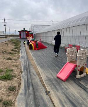 未就学児でも楽しめる！【4種類が30分食べ放題】おすすめイチゴ狩りスポット | HugMug