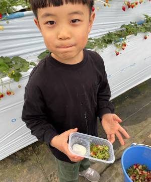 未就学児でも楽しめる！【4種類が30分食べ放題】おすすめイチゴ狩りスポット | HugMug
