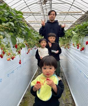未就学児でも楽しめる！【4種類が30分食べ放題】おすすめイチゴ狩りスポット | HugMug