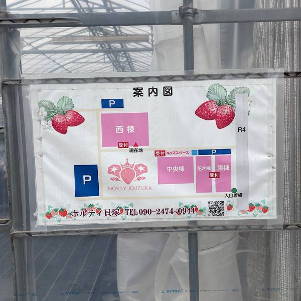 未就学児でも楽しめる！【4種類が30分食べ放題】おすすめイチゴ狩りスポット | HugMug