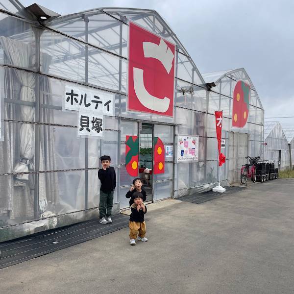 未就学児でも楽しめる！【4種類が30分食べ放題】おすすめイチゴ狩りスポット | HugMug