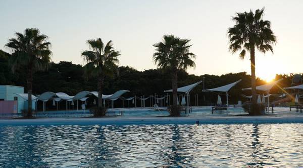 4月に行きたい遊び場＆イベント7選【関東】 | HugMug