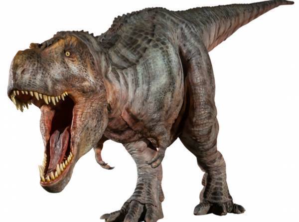 4月に行きたい遊び場＆イベント7選【関東】 | HugMug