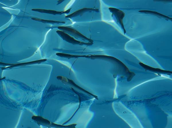 4月に行きたい遊び場＆イベント7選【関東】 | HugMug