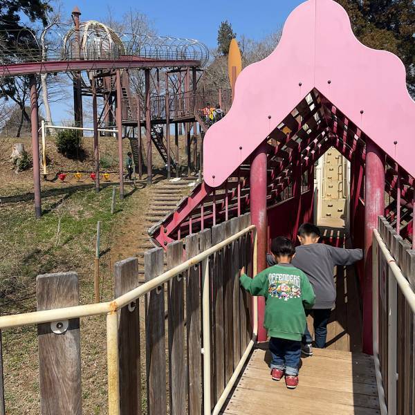 初心者におすすめ！家族で楽しめるキャンプ場「昭和の森フォレストビレッジ」 | HugMug