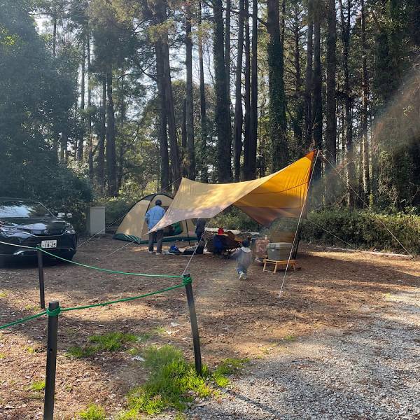 初心者におすすめ！家族で楽しめるキャンプ場「昭和の森フォレストビレッジ」 | HugMug