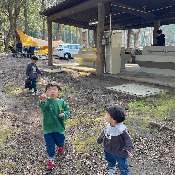 初心者におすすめ！家族で楽しめるキャンプ場「昭和の森フォレストビレッジ」 | HugMug