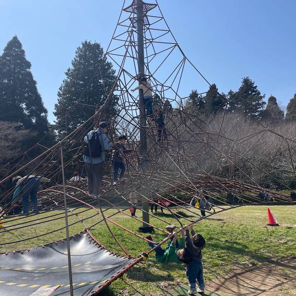 初心者におすすめ！家族で楽しめるキャンプ場「昭和の森フォレストビレッジ」 | HugMug