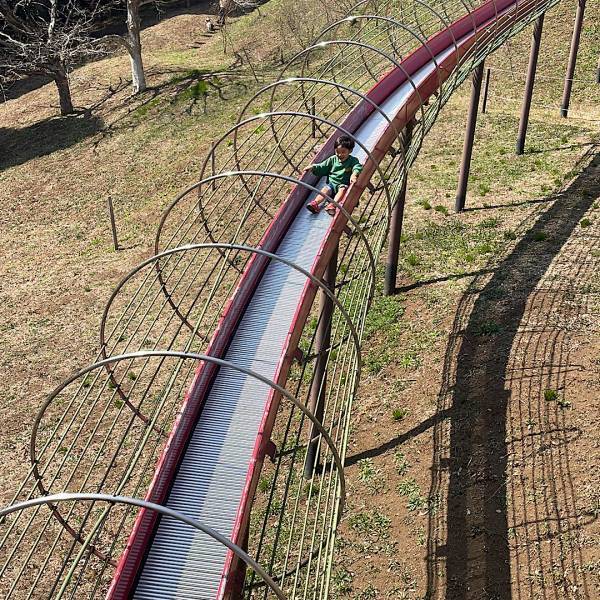 初心者におすすめ！家族で楽しめるキャンプ場「昭和の森フォレストビレッジ」 | HugMug