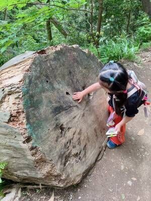 初めての子連れ登山には高尾山がおすすめ！持ち物やコースなど徹底レポ | HugMug