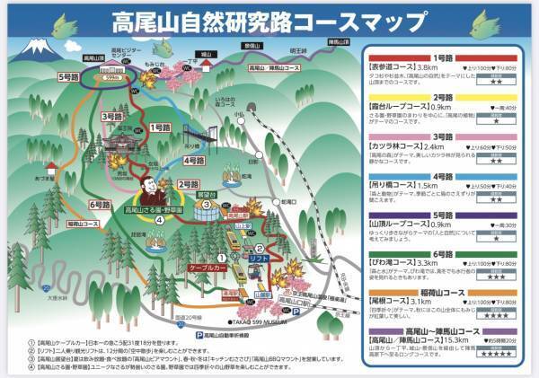 初めての子連れ登山には高尾山がおすすめ！持ち物やコースなど徹底レポ | HugMug