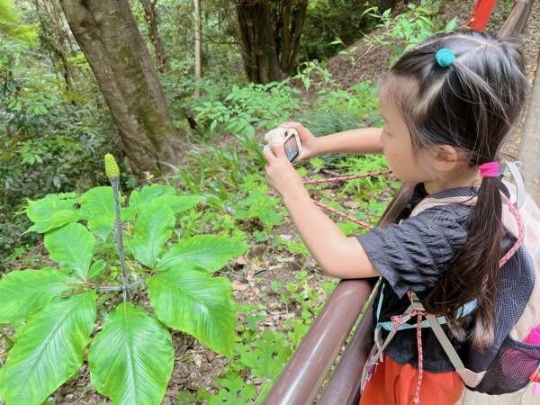 初めての子連れ登山には高尾山がおすすめ！持ち物やコースなど徹底レポ | HugMug