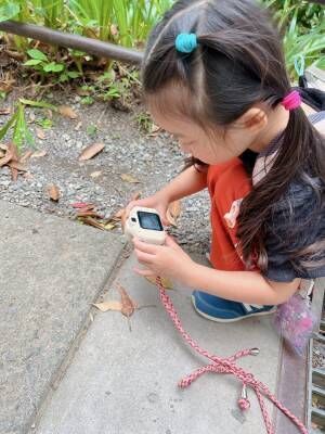 初めての子連れ登山には高尾山がおすすめ！持ち物やコースなど徹底レポ | HugMug