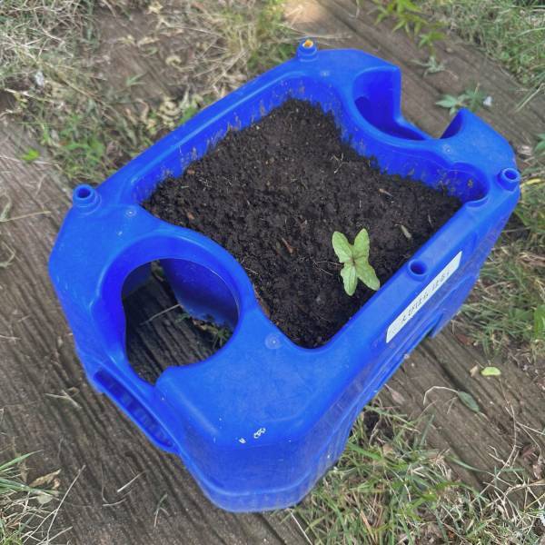 【コストコ】子ども用ガーデニング豪華7点セットが驚きの価格でコスパ最強！ | HugMug