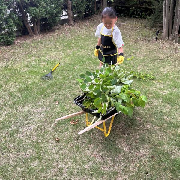 【コストコ】子ども用ガーデニング豪華7点セットが驚きの価格でコスパ最強！ | HugMug